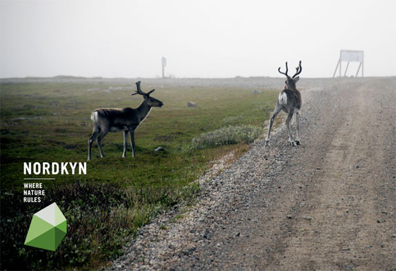 Neue_nordkyn_Gamvikplace Neue nordkyn Gamvikplace 挪威Nordkyn推出旅游標識