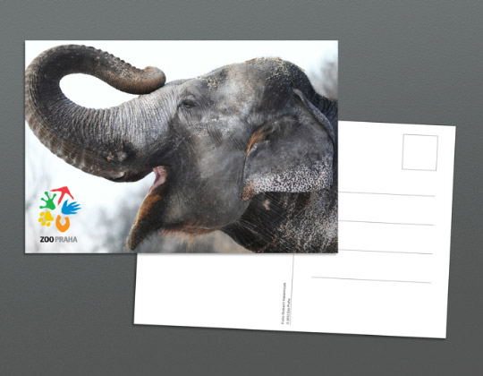 zoo praha card @Q