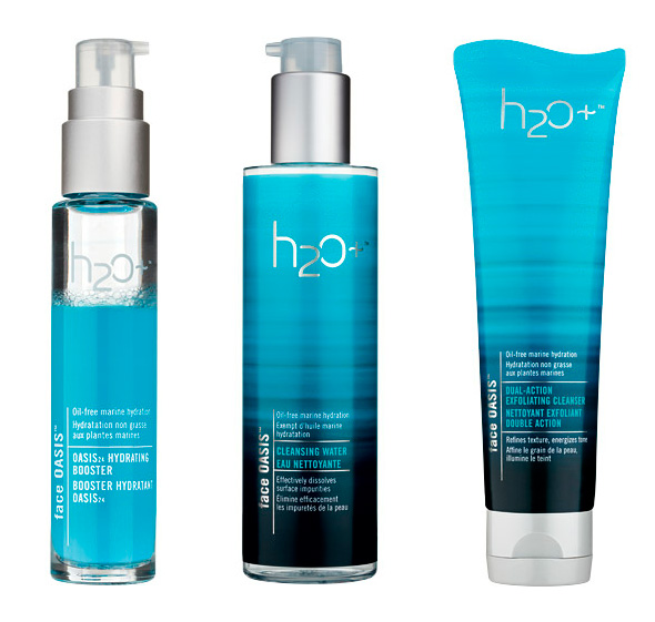 ˮ֥ģ~H2O+־°b