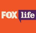 ˹lFox Life_