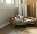 Pet Lounge StudiosҾ